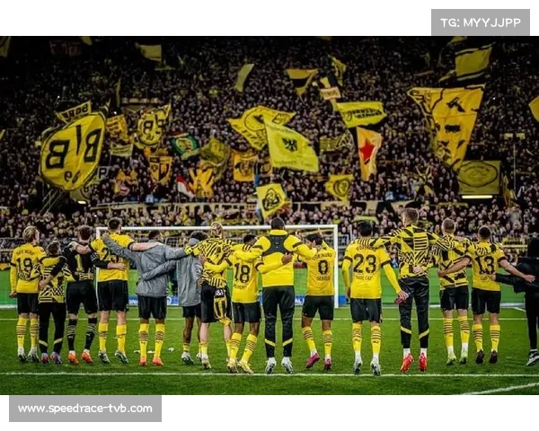 欧冠赛场花絮：多特蒙德主场南看台再现巨型TIFO，致敬俱乐部传奇